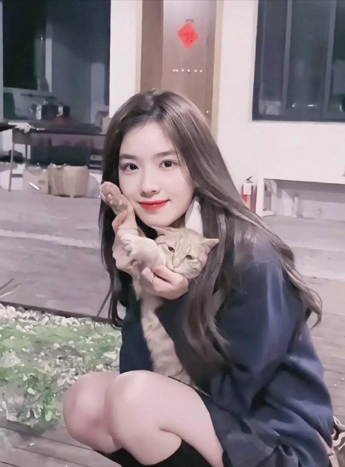 孫一寧照片與個人資料，深度探索，孫一寧照片與深度個人資料探索