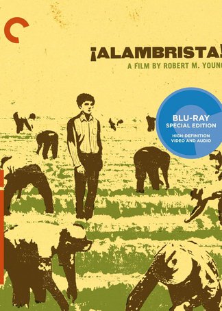 今天正版四不像，深度解析其特點(diǎn)與魅力，正版四不像深度解析，特點(diǎn)與魅力探究