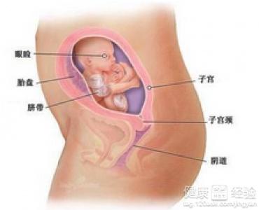 懷孕一個(gè)月，早期懷孕的注意事項(xiàng)與體驗(yàn)，懷孕一個(gè)月，早期懷孕的注意事項(xiàng)及體驗(yàn)分享