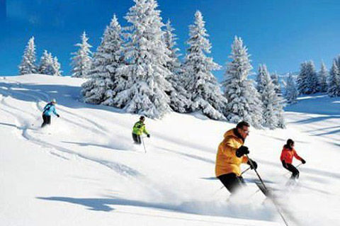亞布力滑雪場簡介——領略滑雪勝地的魅力，亞布力滑雪場簡介，領略滑雪勝地的激情與魅力