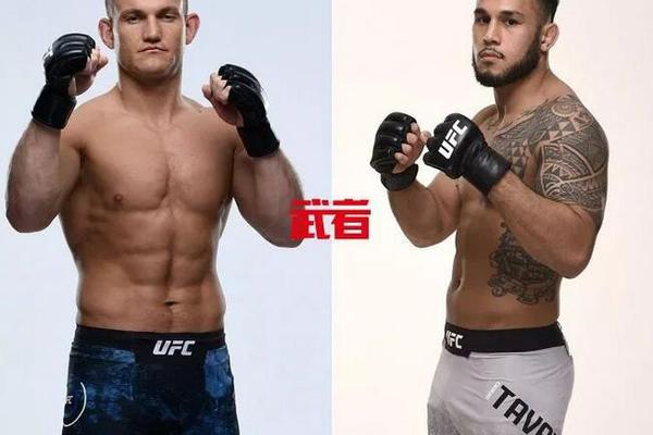 澳門六開獎結(jié)果記錄圖，探索彩票背后的秘密，澳門六開獎結(jié)果記錄圖揭秘彩票背后的秘密