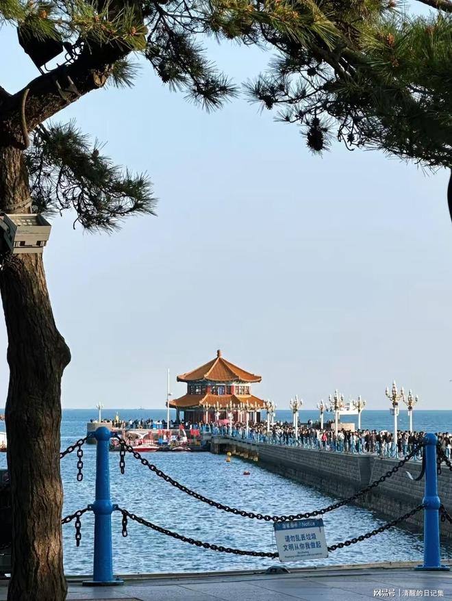 青島三天兩夜旅游攻略，探索海濱城市的魅力，青島三日兩夜旅游攻略，海濱城市魅力探索之旅