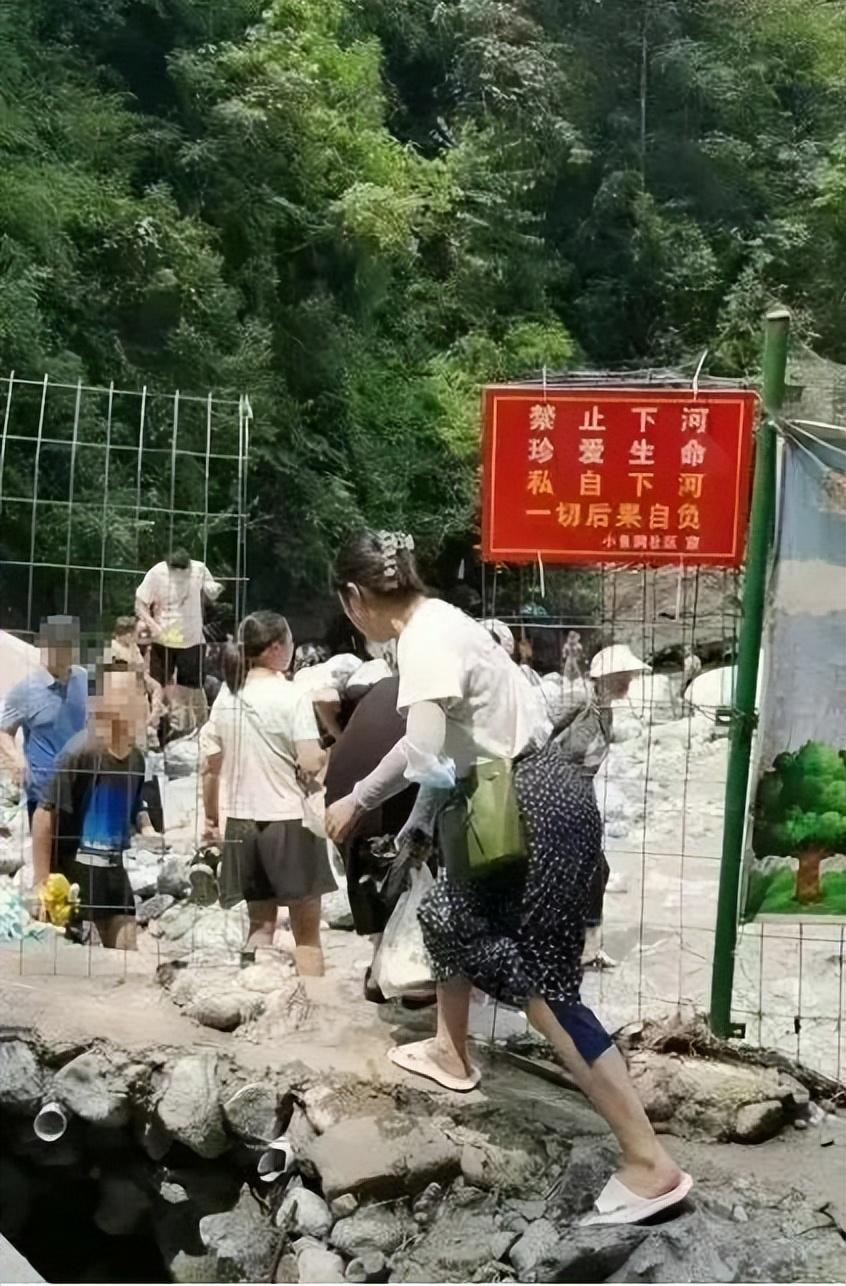 蘇27與殲11，兩款經(jīng)典戰(zhàn)斗機(jī)的深度解析與比較，蘇27與殲11，經(jīng)典戰(zhàn)斗機(jī)深度解析與比較