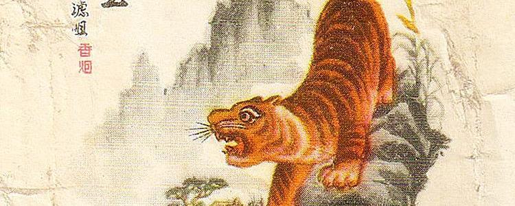 猛虎下山王中王，一生肖的獨特象征與奧秘，猛虎下山，生肖的獨特象征與奧秘