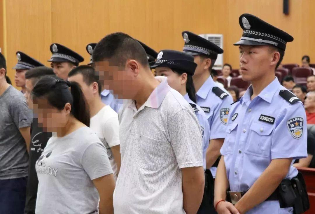 香港特馬王資料免費公開，揭秘背后的秘密，香港特馬王資料揭秘，免費公開背后的秘密