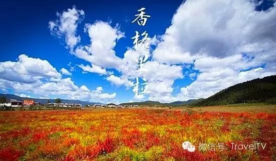 金秋十月，探尋最適合你的旅游目的地，金秋十月，探尋最佳旅游目的地之旅