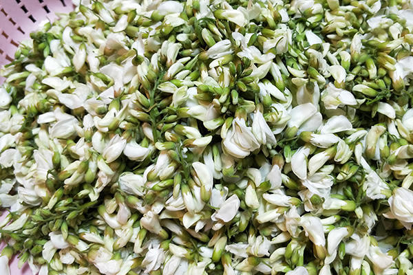 槐花的吃法與做法大全，槐花的吃法與烹飪指南大全