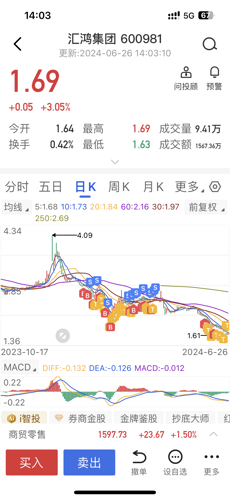 探索匯鴻集團股吧的獨特魅力，深度解析600981股票的價值潛力，匯鴻集團股吧深度探索，解析股票價值潛力與獨特魅力