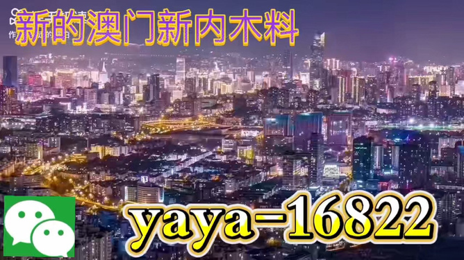 今晚澳門買什么最好？探索最佳選擇與策略，澳門今晚最佳選擇與策略探索指南