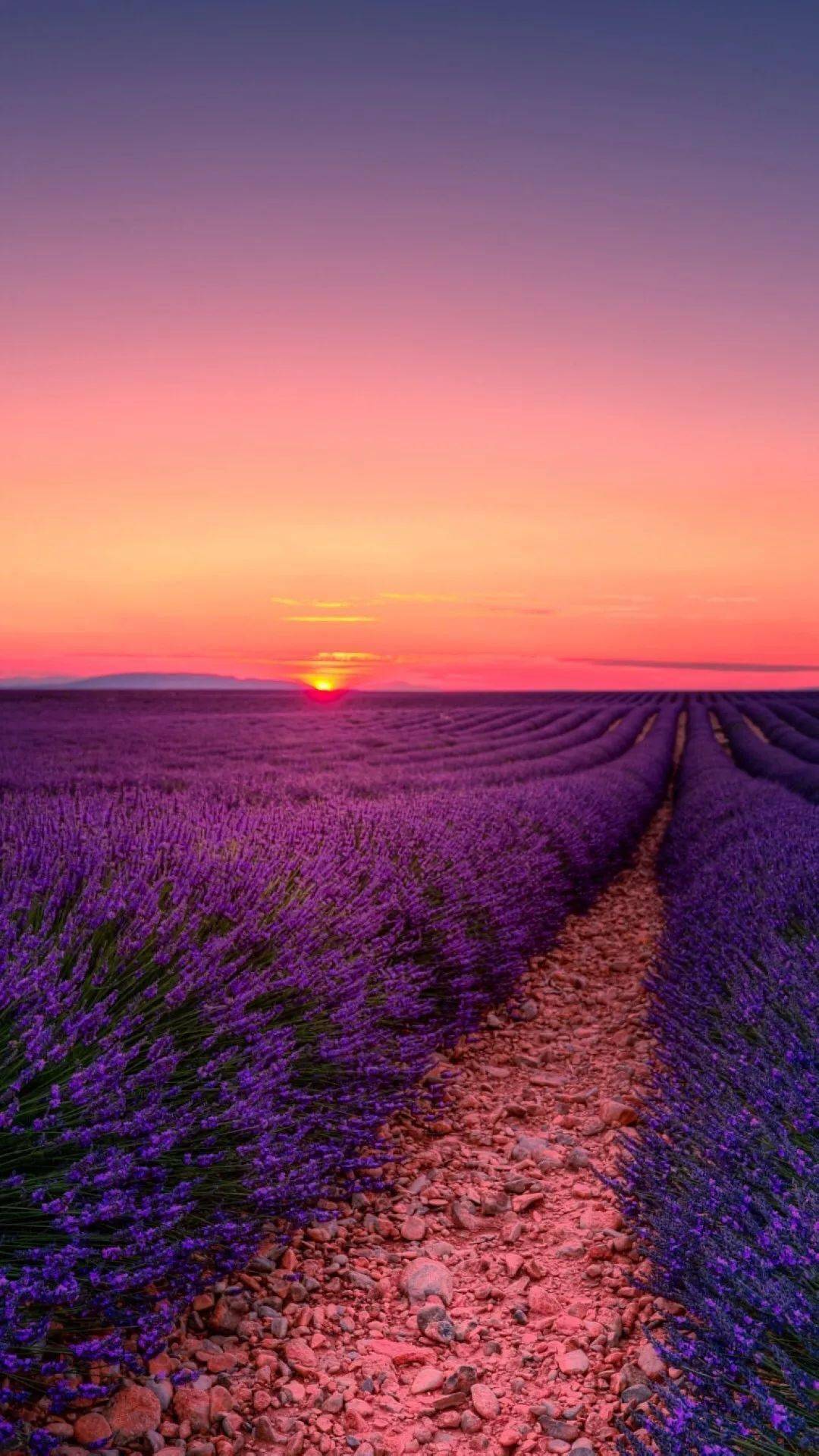 揭秘劉伯溫一肖六碼中特之謎，探尋背后的故事與真相，劉伯溫一肖六碼中特背后的故事與真相揭秘