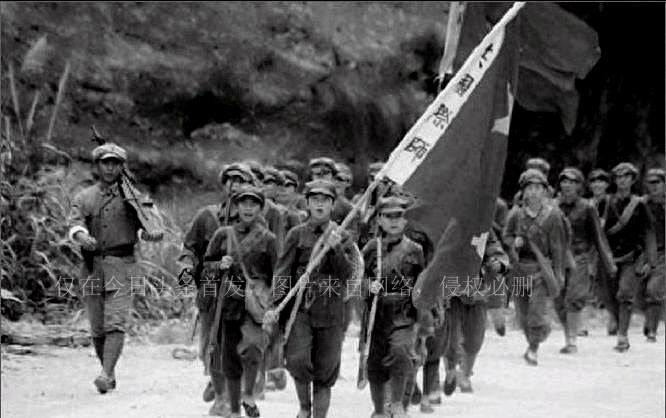 關(guān)于肖碼的探討，一種獨(dú)特的數(shù)字文化現(xiàn)象，肖碼，獨(dú)特的數(shù)字文化現(xiàn)象探討