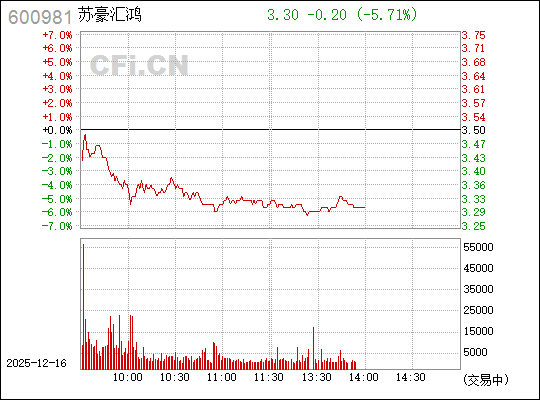 揭秘?cái)?shù)字背后的故事，探索600981的神秘面紗，揭秘?cái)?shù)字之謎，探尋600981的神秘面紗