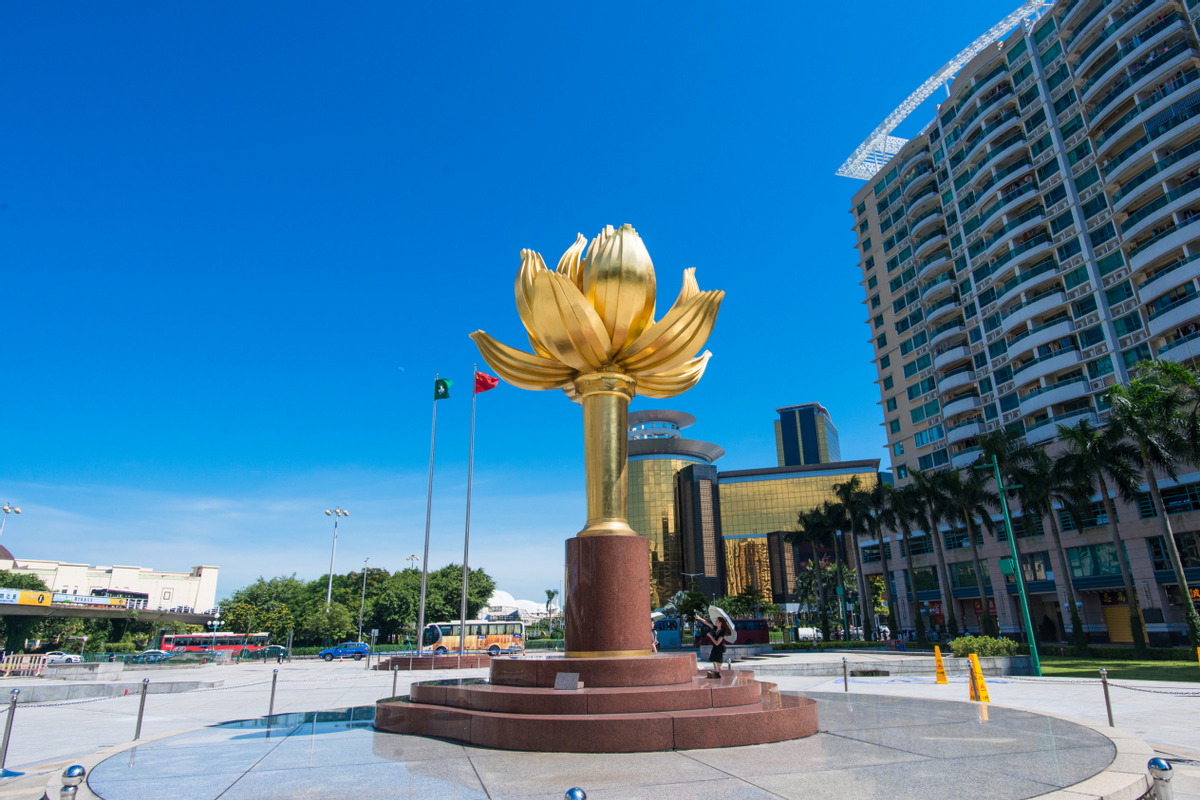 澳門一碼一肖一待一中四不像——揭開神秘面紗下的真相，澳門神秘事件揭秘，一碼一肖一待一中四不像真相探索