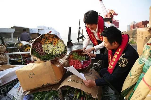 澳門六開獎結(jié)果365期，揭秘彩票背后的秘密與策略分析，澳門六開獎結(jié)果揭秘與策略分析，彩票背后的秘密與策略解讀第365期