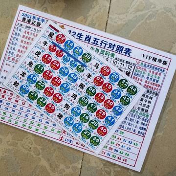 探索神秘的生肖之謎，揭秘肖十二碼中的生肖奧秘，揭秘生肖之謎，探索神秘的肖十二碼奧秘