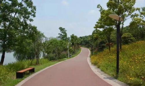 探索未來，2025年正版射牌圖的魅力與趨勢，探索未來，揭秘2025正版射牌圖的魅力與趨勢