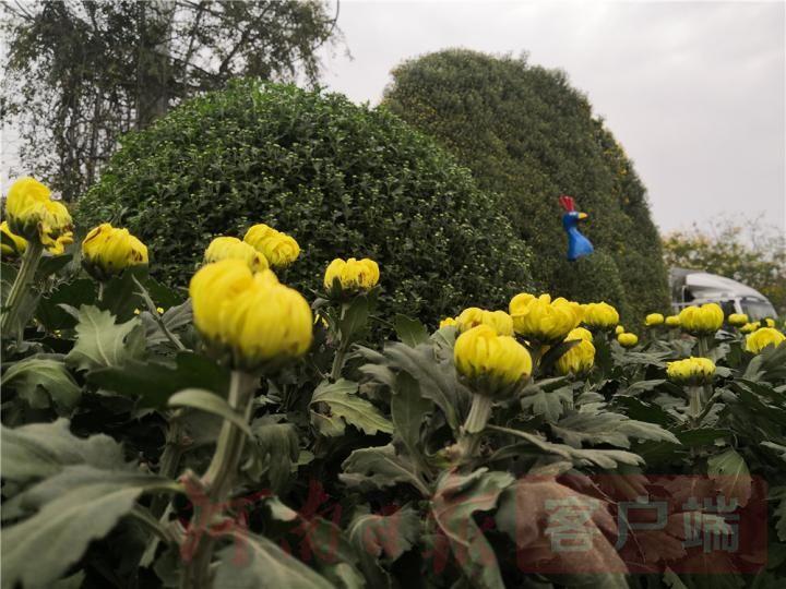 新奧最精準(zhǔn)免費大全最新，全方位指南與實用技巧，新奧最精準(zhǔn)免費指南大全，全方位指南與實用技巧