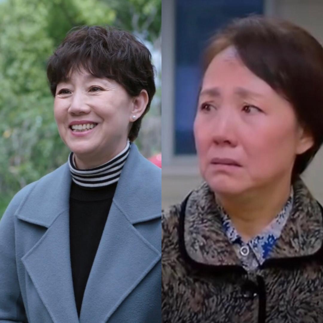 新紅樓夢演員表大全，角色演繹一覽，新紅樓夢演員陣容全解析，角色演繹一覽