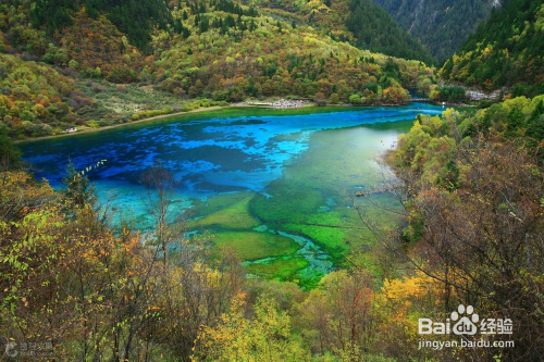 九寨溝周邊旅游景點大全，自然美景盡收眼底，九寨溝周邊自然美景盡收眼底，周邊旅游景點大全探索