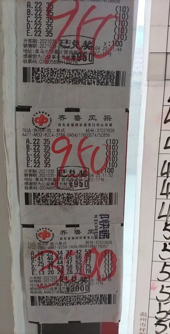 揭秘百分百王中王平特一肖的魅力所在，揭秘百分百王中王平特一肖的魅力之源