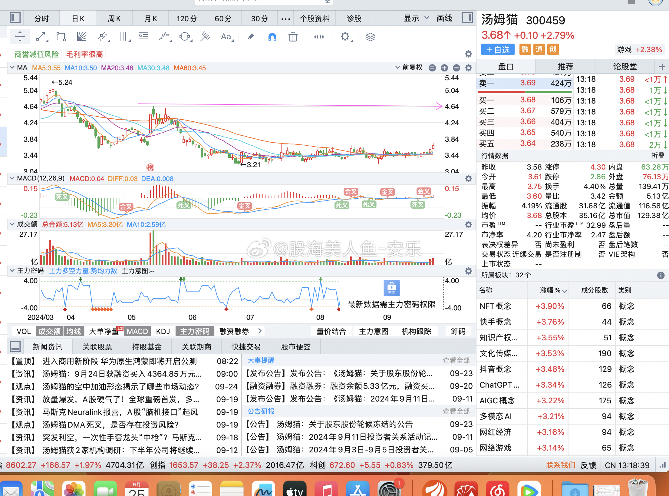 股票300454，深度解析與前景展望，股票300454深度解析及前景展望