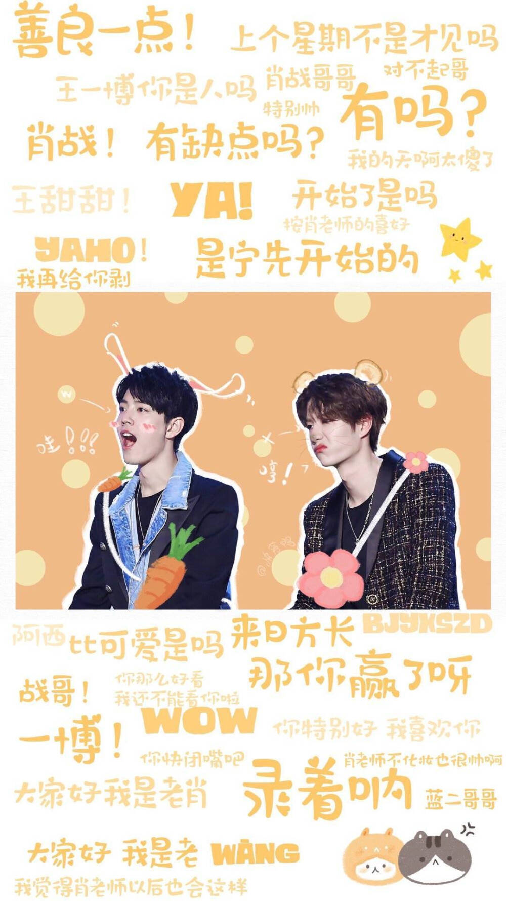 王中王一肖內部資料詳解，王中王一肖內部資料深度解析