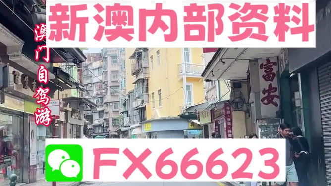 新澳準(zhǔn)資料免費(fèi)提供，一站式獲取優(yōu)質(zhì)信息的指南，新澳準(zhǔn)資料免費(fèi)獲取，一站式優(yōu)質(zhì)信息指南