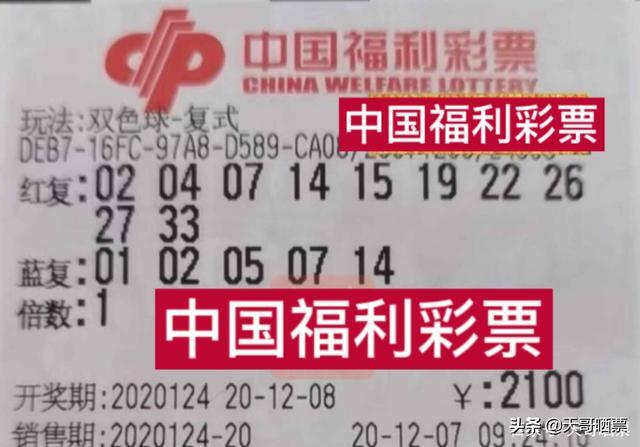 124期王中王平特一肖，深度解析與預(yù)測(cè)，深度解析與預(yù)測(cè)，第124期王中王平特一肖