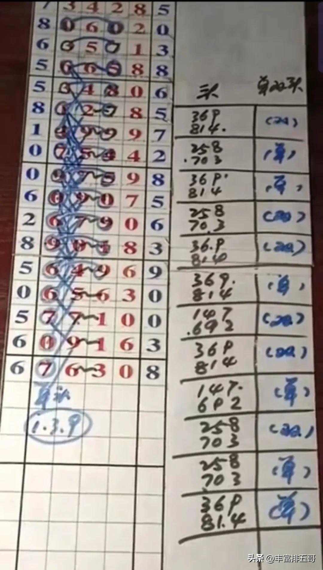 香港彩特碼單雙走勢(shì)圖，深度解析與SEO優(yōu)化策略，香港彩特碼單雙走勢(shì)圖深度解析及SEO優(yōu)化策略指南