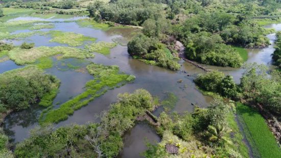濕地公園，自然與城市的和諧共生之地，濕地公園，自然與城市和諧共融的綠色空間