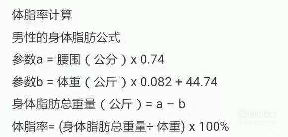 體脂率怎么計算，一篇文章帶你全面了解，體脂率全面解析，計算方法與理解應(yīng)用
