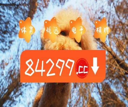 天天彩澳門天天彩，探索與體驗，探索與體驗，天天彩澳門天天彩的樂趣