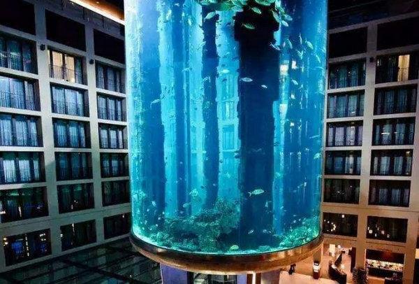 上海海洋館門票，探索海底世界的絕佳選擇，上海海洋館門票，探索神秘海底世界的絕佳選擇之旅