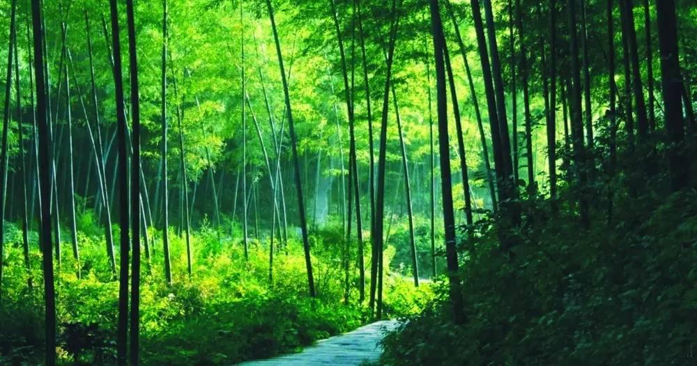 探索八月清涼勝地，尋找最佳旅游去處，探索八月最佳清涼旅游勝地