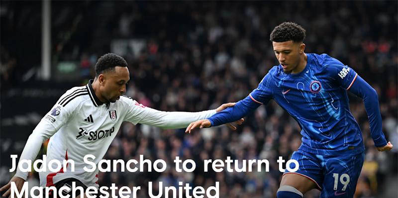 揭秘王中王必中一肖一特子的奧秘，揭秘王中王必中一肖一特子的秘密