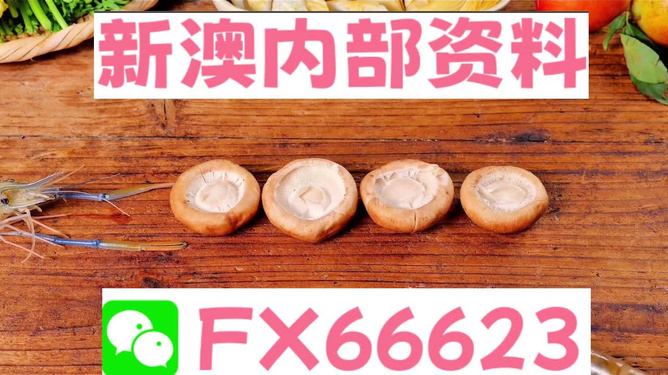 新澳正版資料免費(fèi)提供，全面解析與獲取指南，新澳正版資料全面解析與獲取指南，免費(fèi)提供的指南