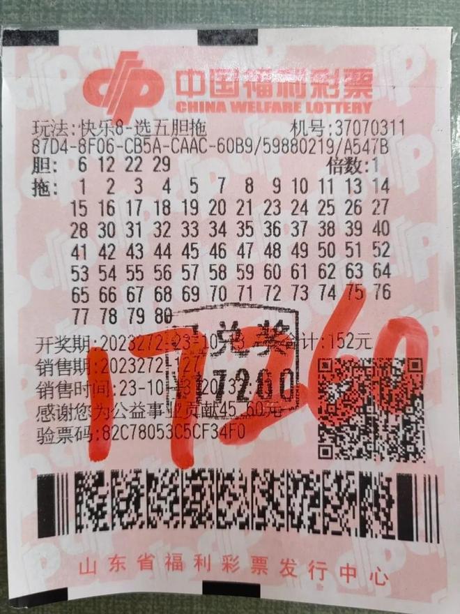 王中王平特一肖，兩大關(guān)鍵詞背后的故事與啟示，王中王平特一肖，關(guān)鍵詞背后的故事與啟示深度解析