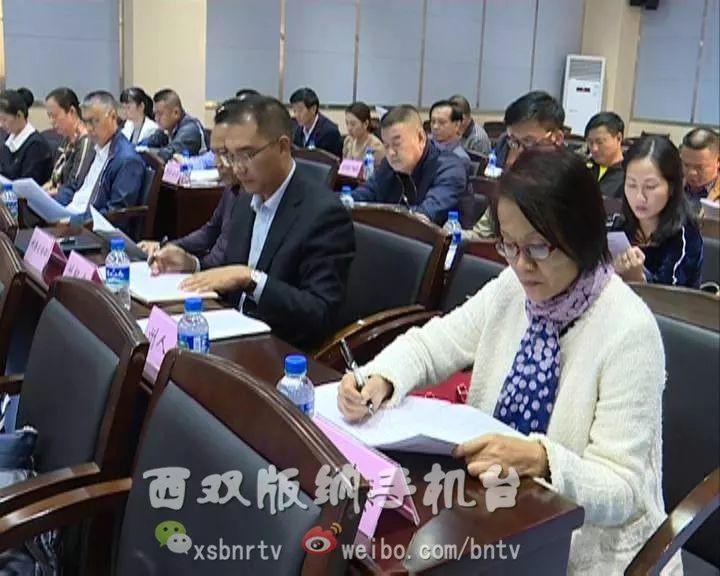 西雙版納旅行社旅游報(bào)價(jià)詳解，西雙版納旅行社旅游報(bào)價(jià)全解析