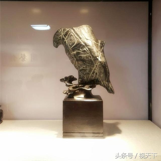 王中王一肖特圖，聚焦熱點(diǎn)，深度解讀背后的故事，王中王一肖特圖深度解析，熱點(diǎn)背后的故事揭秘