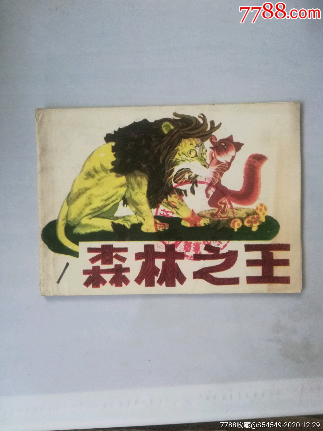 森林王中王打一生肖——探尋生肖中的王者風(fēng)范，森林王中王揭秘生肖王者風(fēng)范