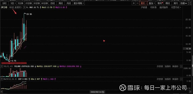 探索代碼世界的寶藏，探索600197的神秘面紗，揭秘代碼世界的寶藏，揭開數字代碼600197的神秘面紗