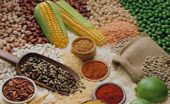 最強食物助你清理血栓——探索天然的健康守護者，天然健康守護者，最強食物助你清理血栓