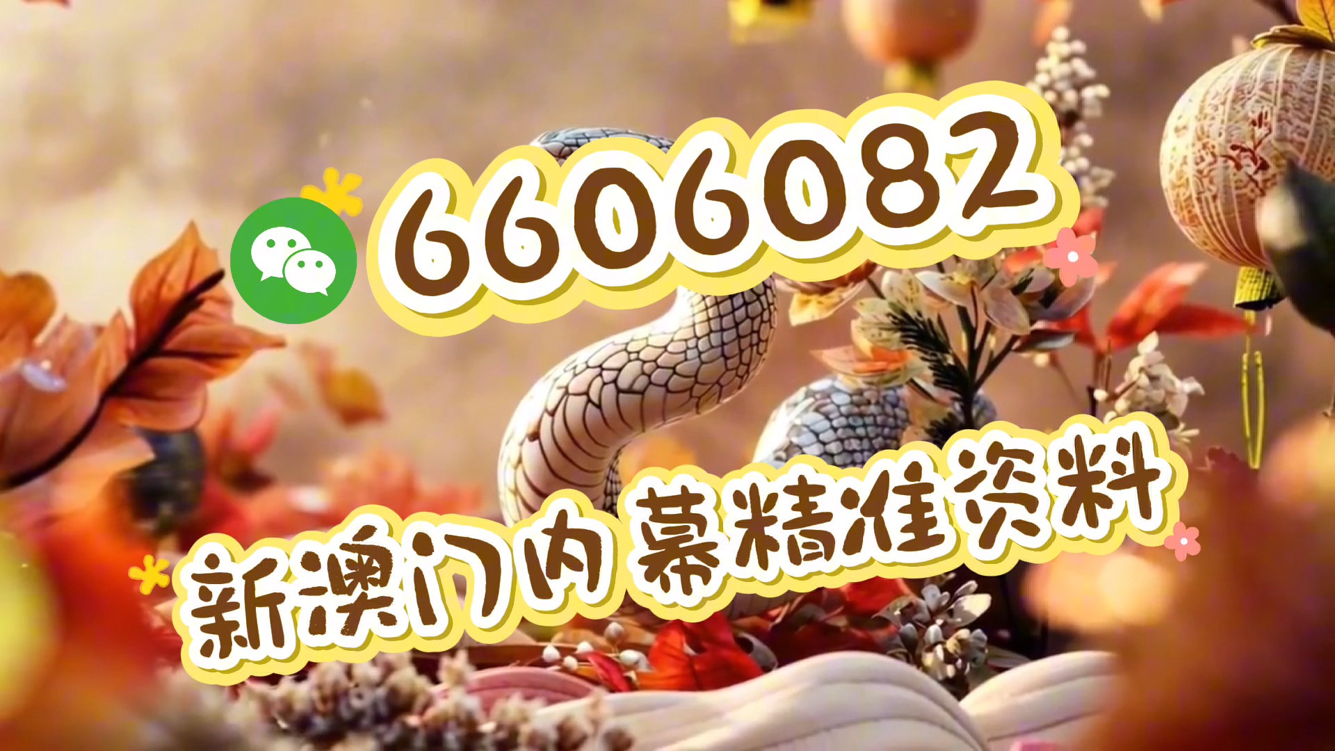 澳門四肖八碼期期準(zhǔn)免費公開——揭秘彩票預(yù)測的真相，澳門四肖八碼期期準(zhǔn)揭秘，彩票預(yù)測的真相與免費公開信息探討