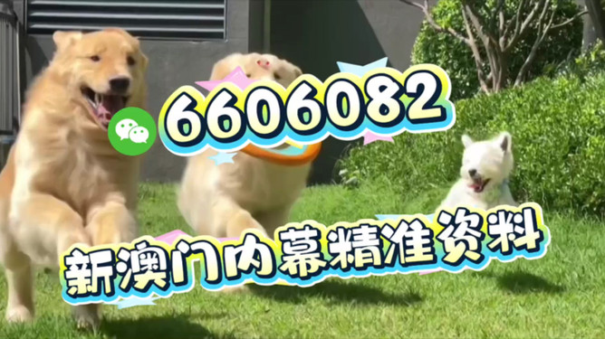 澳門今晚必開一肖期期——深度解析與預測，澳門今晚生肖預測深度解析與獨家預測